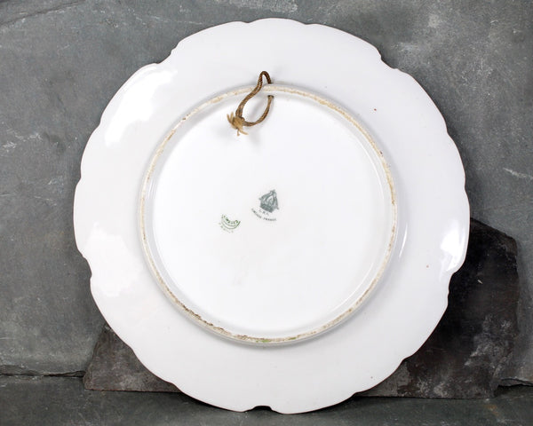 Vintage Limoges Signed and Hand Painted Decorative Plate - L.R.L. Limoges Bird Plate - Signed Ourog - French Porcelain