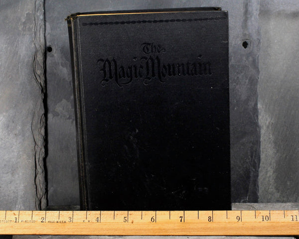 The Magic Mountain by Thomas Mann - Alfred A. Knopf 1934 Edition - Hardcover Thomas Mann - German Literature