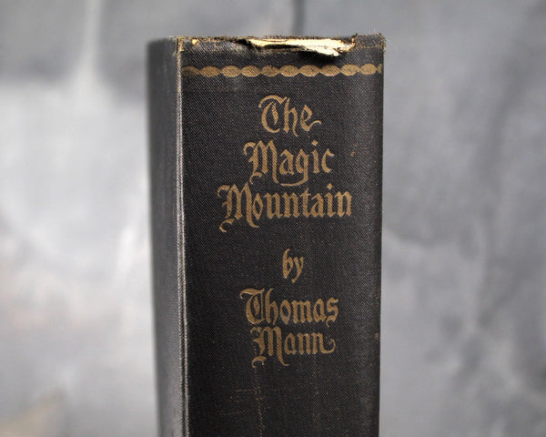 The Magic Mountain by Thomas Mann - Alfred A. Knopf 1934 Edition - Hardcover Thomas Mann - German Literature