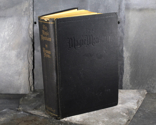The Magic Mountain by Thomas Mann - Alfred A. Knopf 1934 Edition - Hardcover Thomas Mann - German Literature