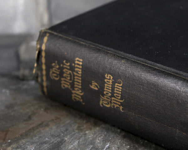 The Magic Mountain by Thomas Mann - Alfred A. Knopf 1934 Edition - Hardcover Thomas Mann - German Literature