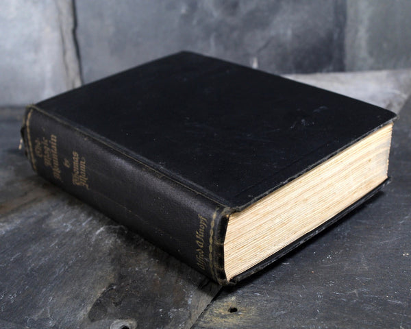 The Magic Mountain by Thomas Mann - Alfred A. Knopf 1934 Edition - Hardcover Thomas Mann - German Literature