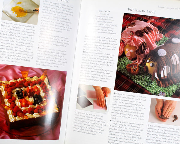 FOR CHOCOLATE LOVERS! The Ultimate Encyclopedia of Chocolate by Christine McFadden & Christine France, published in 2000