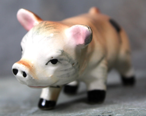 Vintage Porcelain Piggies | Vintage Ceramic Pig | Piggy Figurine | Hand Painted Figurine