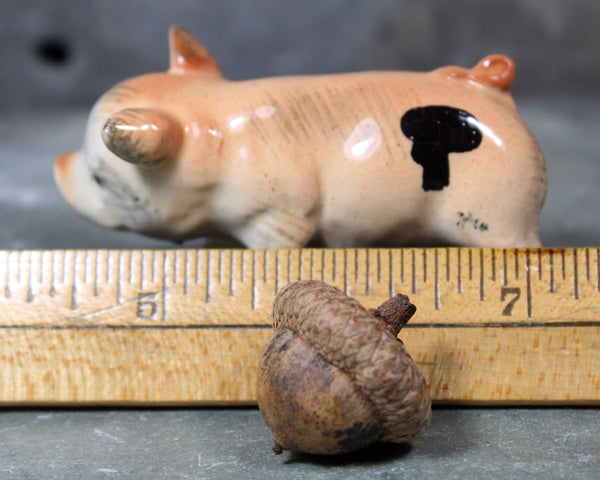 Vintage Porcelain Piggies | Vintage Ceramic Pig | Piggy Figurine | Hand Painted Figurine