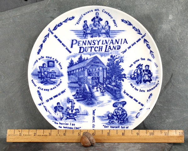 Vintage Pennsylvania Dutch Souvenir Plate | Blue and White Pennsylvania Dutch Classic Souvenir Plate | Circa 1960s