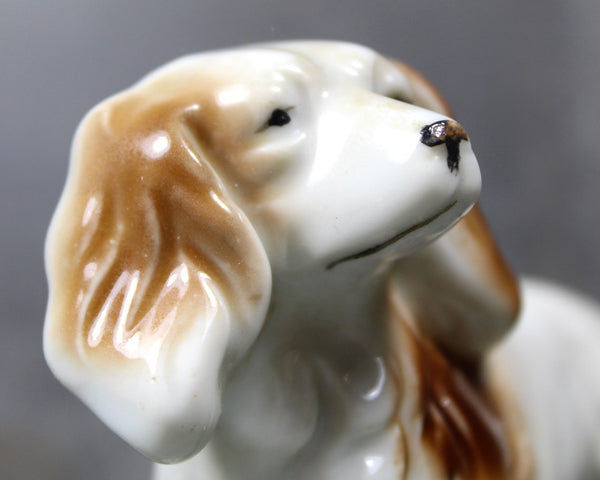 FOR DOG LOVERS! | Vintage Hand Painted Ceramic Welsh Springer Spaniel | Dog Lovers | Hand Painted Ceramic Spaniel Figurine