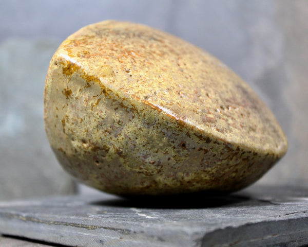 Seed Pod Sculpture | Art Sculpture | Hand Glazed Beige/Brown Seed Pod