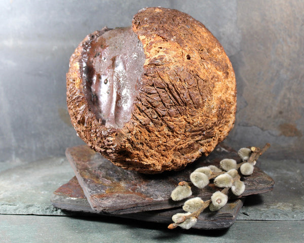 Seed Pod Sculpture | Art Sculpture | Large Hand Crafted Brown Seed Pod