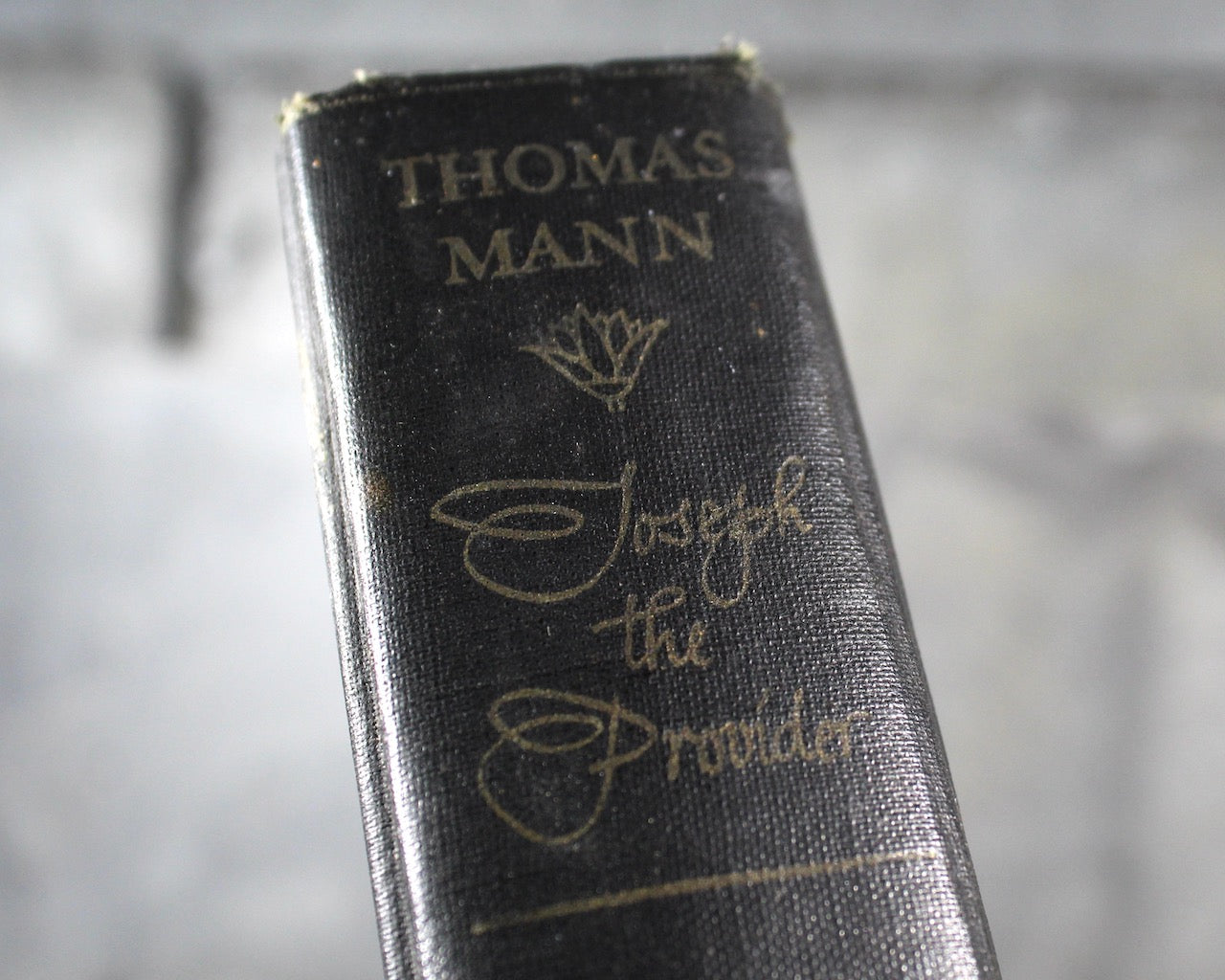 Joseph the Provider by Thomas Mann - Alfred A. Knopf 1944 Edition - Hardcover Thomas Mann - German Literature