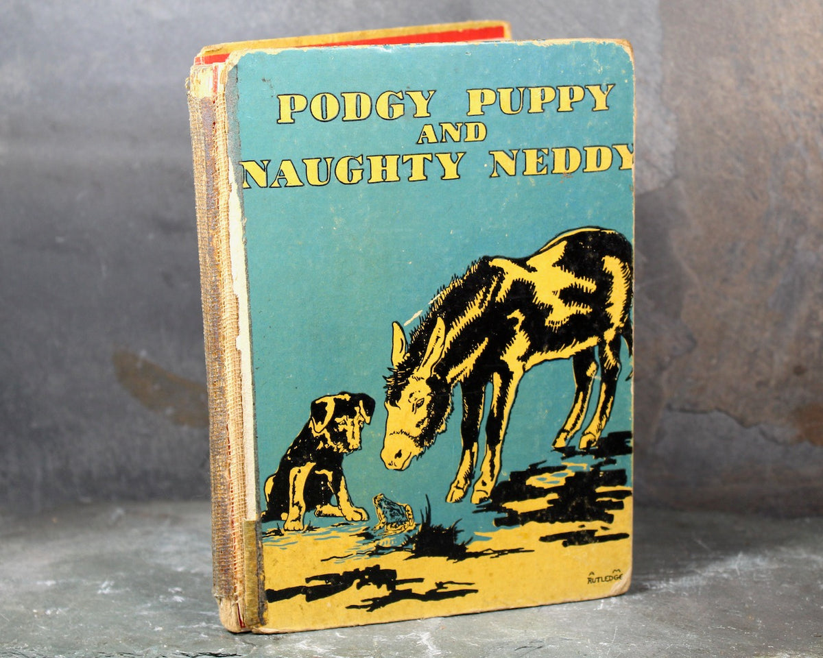 Podgy Puppy & Naughty Teddy | 1927 Antique Children's Story Book | Wri ...