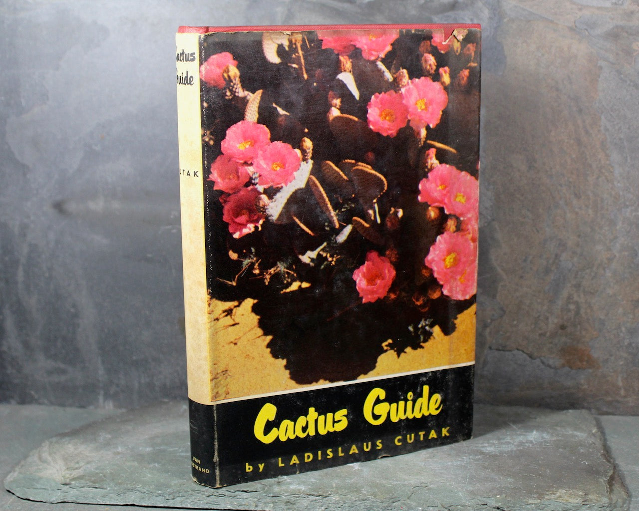 Cactus Guide by Ladislaus Cutak | 1956 First Edition | Vintage Gardening Book