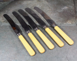 Set of 5 Dinner Knives  S. Pearson & Co. | Sheffield England | Holiday Table | Bixley Shop