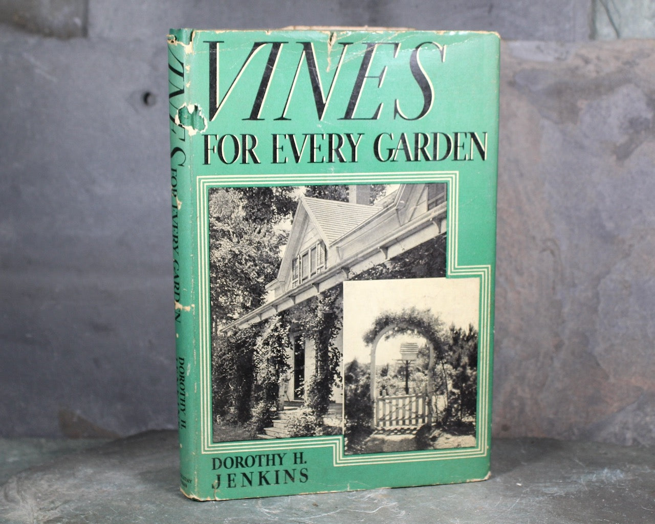 Vines for Every Garden by Dorothy H. Jenkins | 1937 FIRST EDITION | Antique Book on Gardening | Bixley Shop