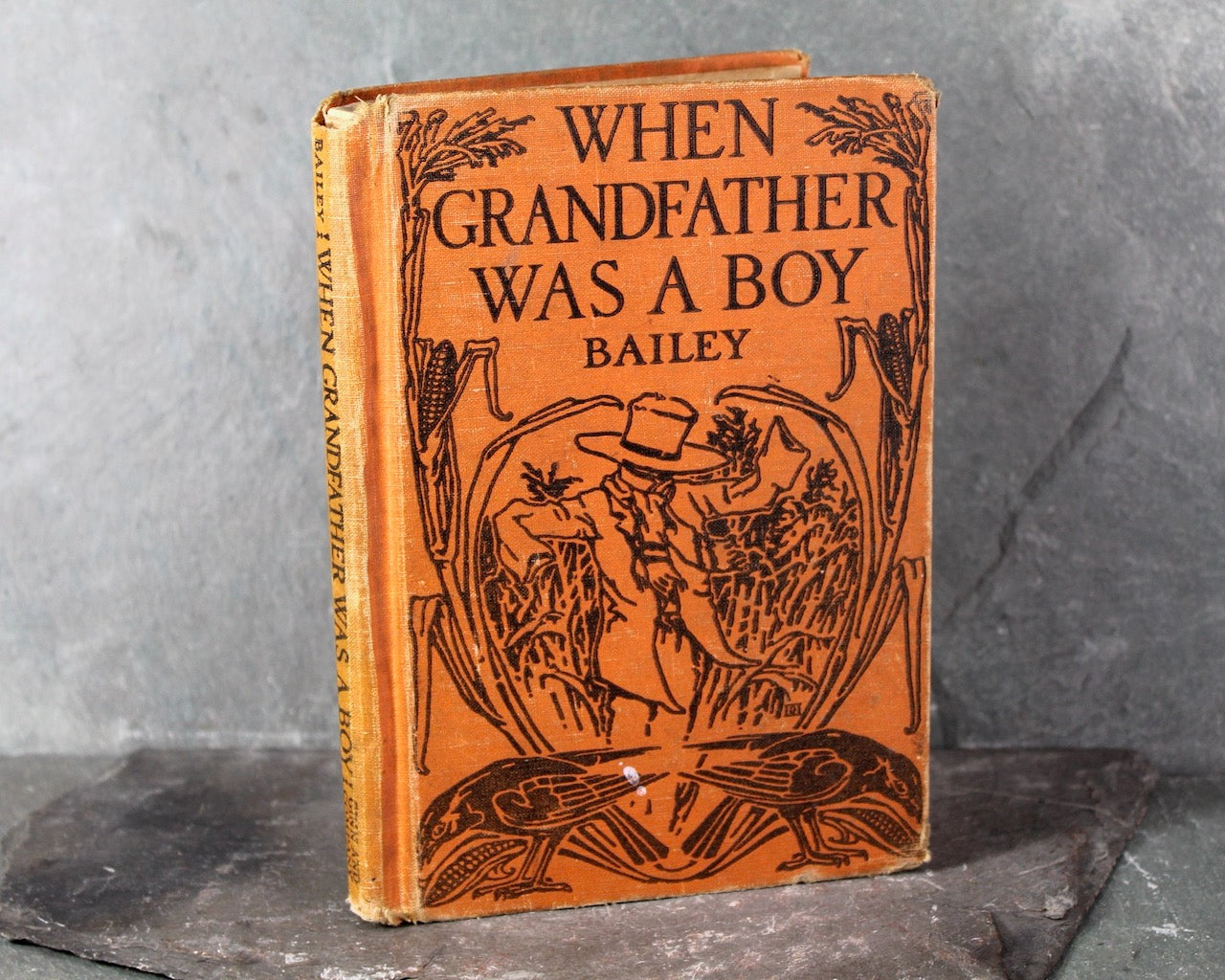 When Grandfather Was a Boy by Carolyn Sherwin Bailey | 1928 Antique Children's Novel | Bixley Shop