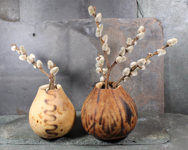 Burnished Gourd Vases - Set of 2 | Natural, Miniature Gourd Vases | Bixley Shop