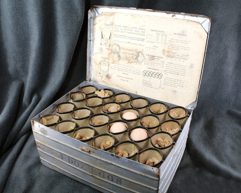 RARE! Antique Metal Egg Crate for Selling Eggs by Mail | 4 Dozen Egg Capacity | With Original Instructions | Vintage Storage | Bixley Shop