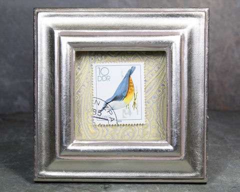 1979 East Germany Stamp with Nuthatch Bird Illustration | Framed Stamp Art | Global Vintage Decor | Authentic Stamp Mounted and Framed