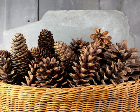 Instant Rustic Decor! | Set of 20 Pine Cones with Vintage Basket | Rustic Christmas Decor | Bixley Shop