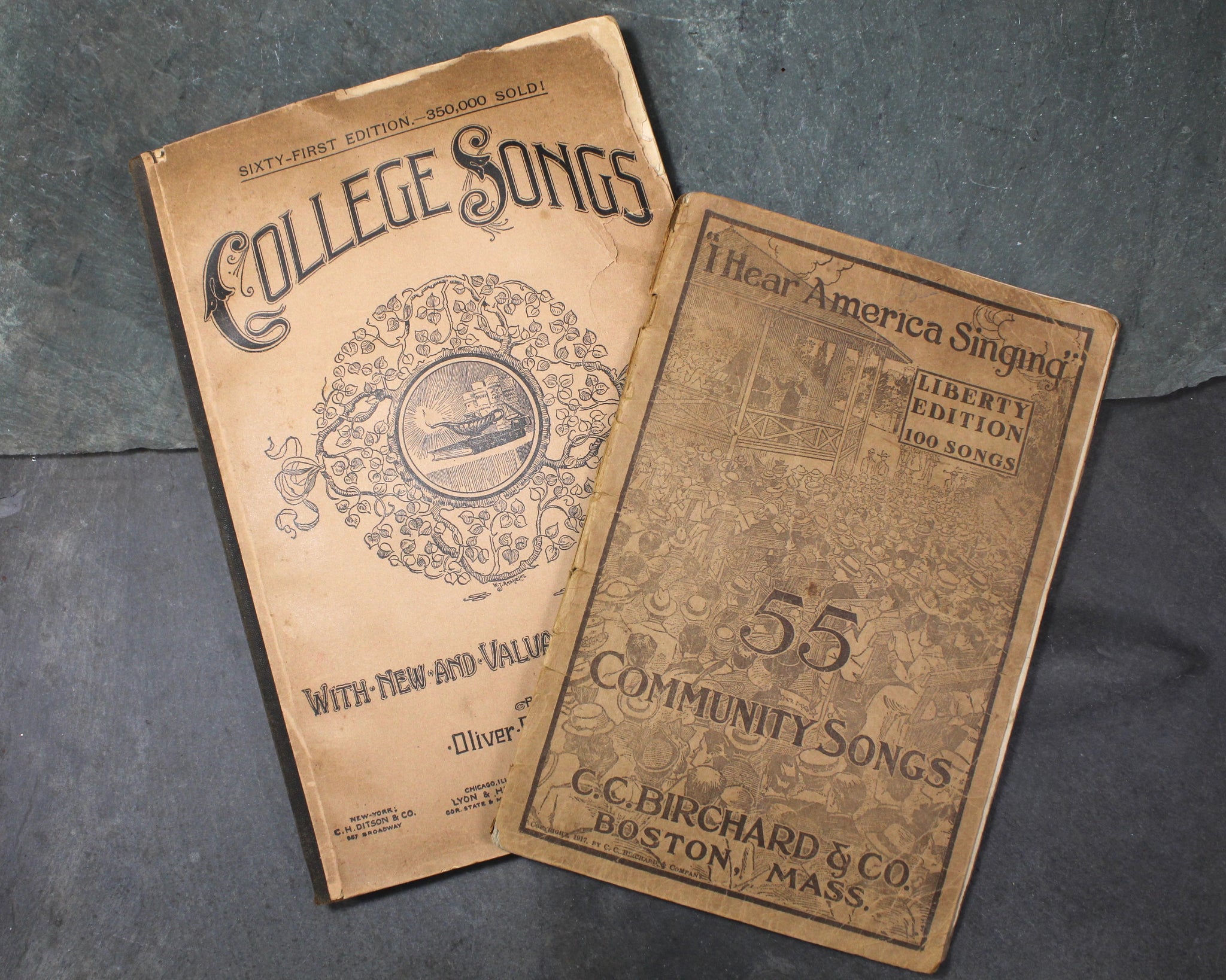 RARE! Antique Song Books | I Hear America Sing, 1918 | College Songs, 1887 | Bixley Shop