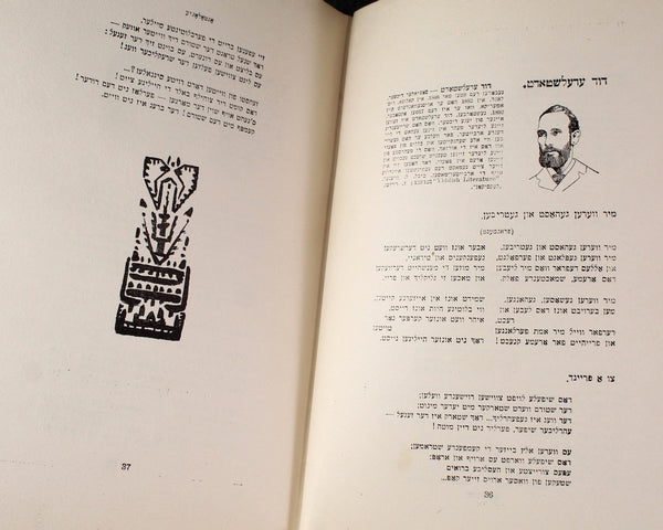 RARE! Analogy: 500 Years of Yiddish Poetry by Morris Bassin | 1917 Anthology of Jewish Poetry | In Yiddish |  Bixley Shop