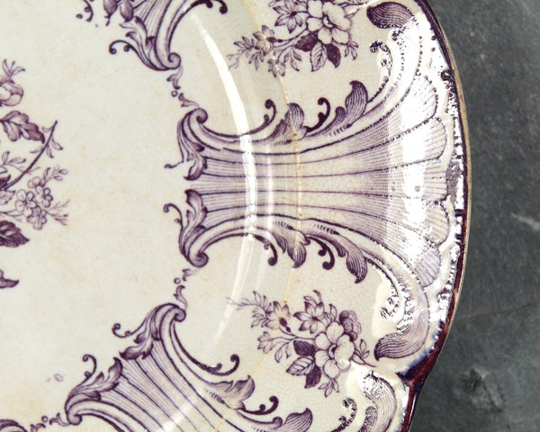 RARE Antique Buccleuch Purple Scalloped Dinner Plate | Transferware circa 1845 | Bixley Shop | English Porcelain | Scottish Porcelain