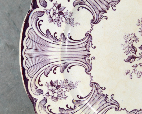 RARE Antique Buccleuch Purple Scalloped Dinner Plate | Transferware circa 1845 | Bixley Shop | English Porcelain | Scottish Porcelain