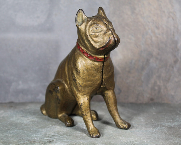 Antique Bulldog Penny Bank | Cast Iron Bulldog Bank with Gold and Red Paint | Piggy Bank | Bixley Shop