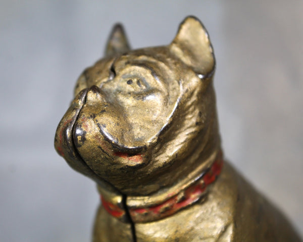 Antique Bulldog Penny Bank | Cast Iron Bulldog Bank with Gold and Red Paint | Piggy Bank | Bixley Shop