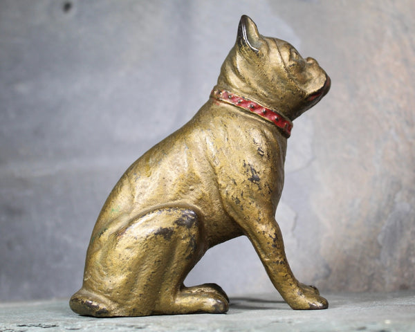 Antique Bulldog Penny Bank | Cast Iron Bulldog Bank with Gold and Red Paint | Piggy Bank | Bixley Shop