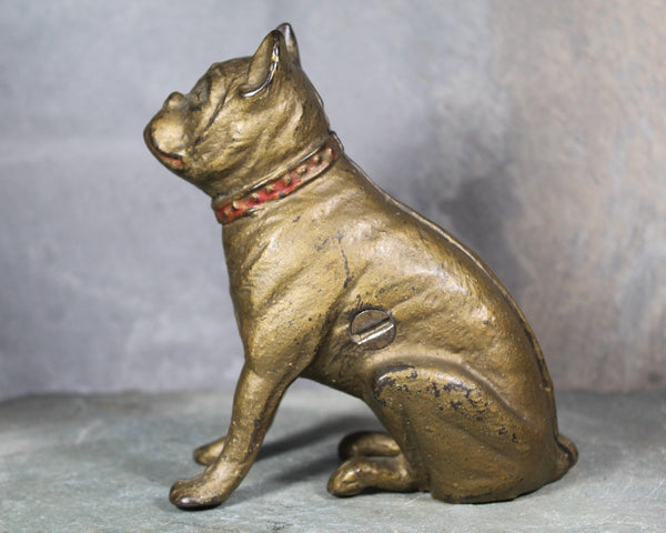 Antique Bulldog Penny Bank | Cast Iron Bulldog Bank with Gold and Red Paint | Piggy Bank | Bixley Shop