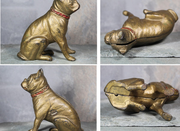 Antique Bulldog Penny Bank | Cast Iron Bulldog Bank with Gold and Red Paint | Piggy Bank | Bixley Shop