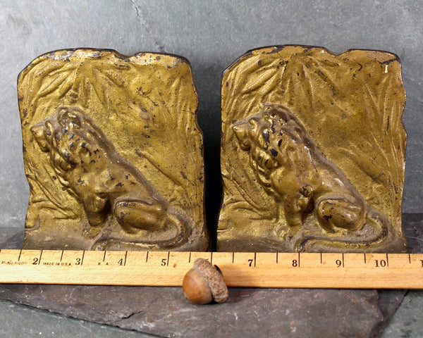 Set of 2 Cast Metal Lion Bookends | Antique Lion Bookends | Bixley Shop