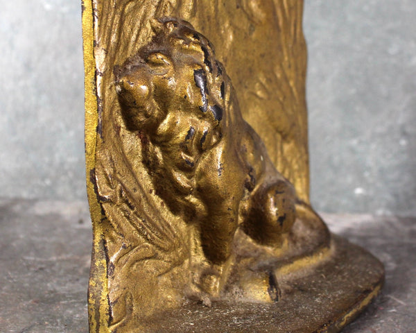 Set of 2 Cast Metal Lion Bookends | Antique Lion Bookends | Bixley Shop