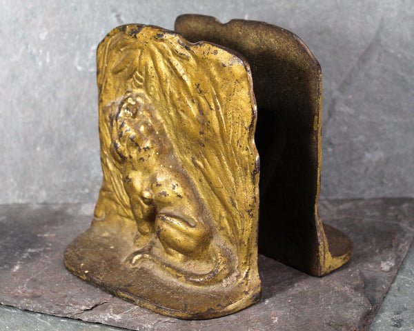 Set of 2 Cast Metal Lion Bookends | Antique Lion Bookends | Bixley Shop