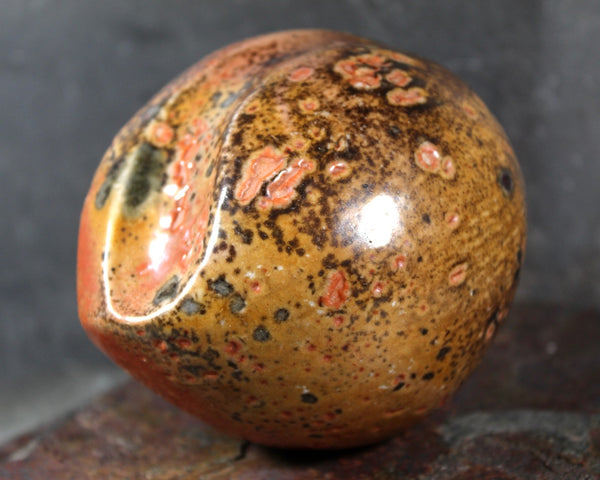 Seed Pod Sculpture | Art Sculpture | Hand Glazed Orange and Brown Seed Pod | Heavy Sculpture 1 Pound