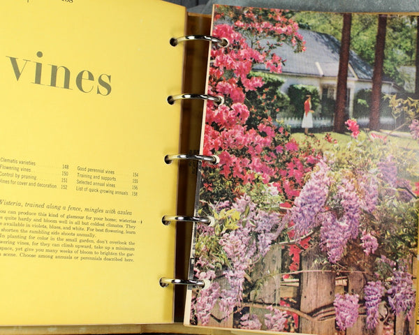 Better Homes & Gardens New Garden Book | 1971 Vintage Gardening Book | Bixley Shop