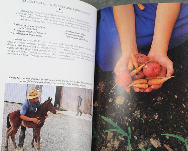 Cooking from Quilt Country by Marcia Adams | 1989 First Edition | Vintage Amish and Mennonite Cookbook | Bixley Shop