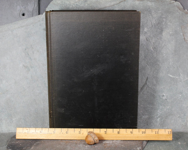 Droll Stories by Honore de Balzac | 1928 | Garden City Publishing Edition | Bixley Shop