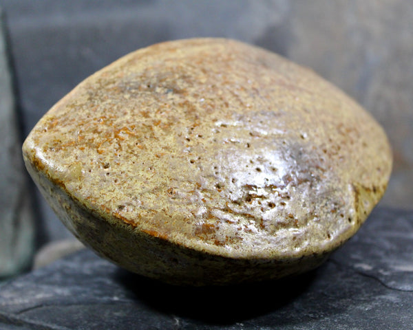 Seed Pod Sculpture | Art Sculpture | Hand Glazed Beige/Brown Seed Pod