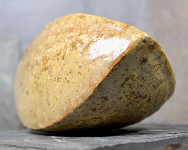 Seed Pod Sculpture | Art Sculpture | Hand Glazed Beige/Brown Seed Pod