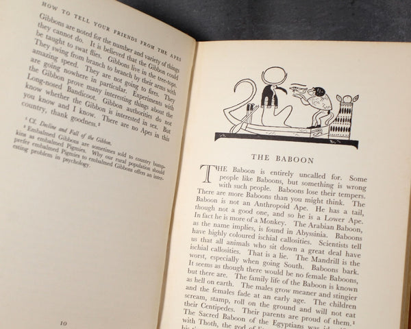 How to Tell Your Friends from the Apes by Will Cuppy | 1934 | Humorist | Bixley Shop