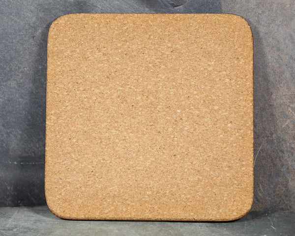 Set of 6 Mid-Century Pimpernel Coasters | North American Wildlife | Lynx, Bear, Wolf, etc... | Cork Backed MCM Coasters  | Bixley Shop