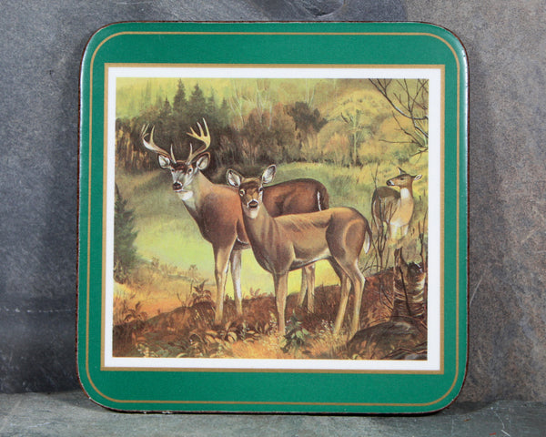 Set of 6 Mid-Century Pimpernel Coasters | North American Wildlife | Lynx, Bear, Wolf, etc... | Cork Backed MCM Coasters  | Bixley Shop