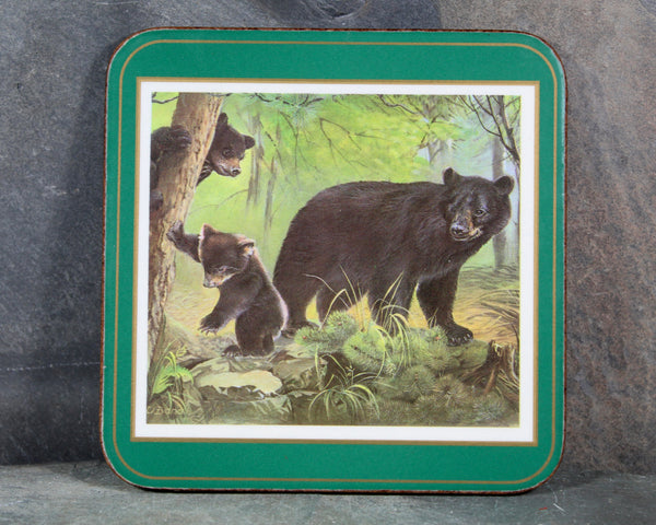 Set of 6 Mid-Century Pimpernel Coasters | North American Wildlife | Lynx, Bear, Wolf, etc... | Cork Backed MCM Coasters  | Bixley Shop