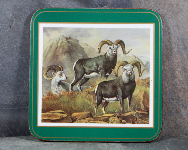 Set of 6 Mid-Century Pimpernel Coasters | North American Wildlife | Lynx, Bear, Wolf, etc... | Cork Backed MCM Coasters  | Bixley Shop