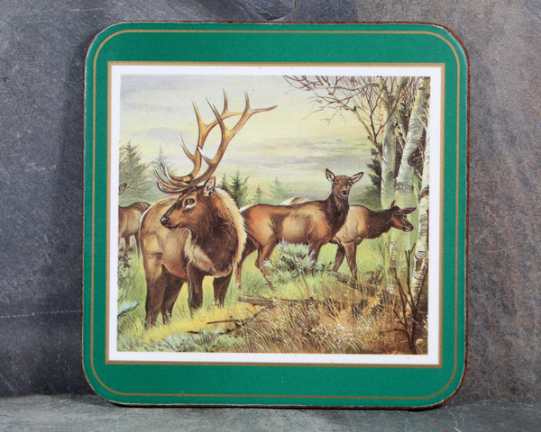 Set of 6 Mid-Century Pimpernel Coasters | North American Wildlife | Lynx, Bear, Wolf, etc... | Cork Backed MCM Coasters  | Bixley Shop
