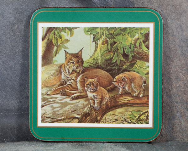Set of 6 Mid-Century Pimpernel Coasters | North American Wildlife | Lynx, Bear, Wolf, etc... | Cork Backed MCM Coasters  | Bixley Shop