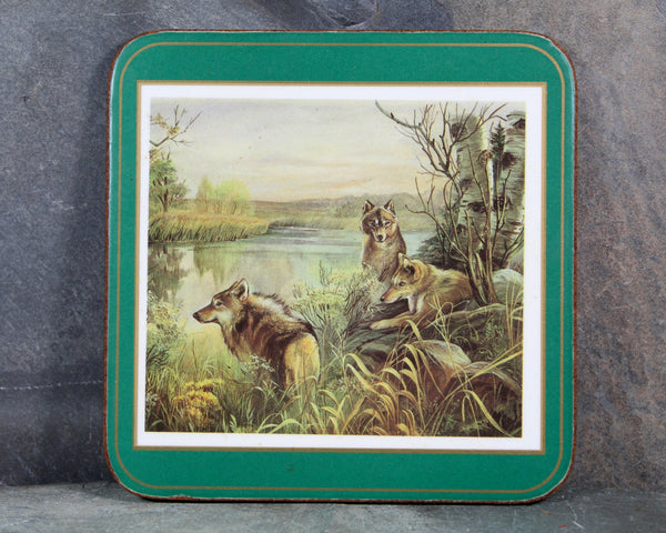 Set of 6 Mid-Century Pimpernel Coasters | North American Wildlife | Lynx, Bear, Wolf, etc... | Cork Backed MCM Coasters  | Bixley Shop