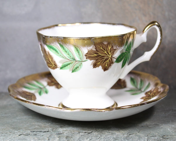 Salisbury Tea Cup & Saucer | English Bone China Tea Cup | Autumn Leaves and Gold Accents | Bixley Shop